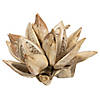 Vickerman 6" Bleached Star Pod, 1 piece, Dried Image 1