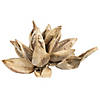 Vickerman 6" Bleached Star Pod, 1 piece, Dried Image 2