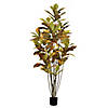 Vickerman 6' Potted Artificial Green and Orange Cronton Tree Image 1