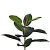 Vickerman 6' Potted Artificial Green Rubber Tree Image 2