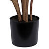 Vickerman 6' Potted Artificial Green Rubber Tree Image 4