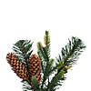 Vickerman 6' Proper 14" Berry MiPropered Pine Cone Artificial Pre-Lit Garland, Warm White LED Lights. Image 1