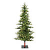 Vickerman 6' Shawnee Fir Christmas Tree with Warm White LED Lights Image 1