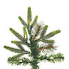 Vickerman 6' Shawnee Fir Christmas Tree with Warm White LED Lights Image 1