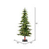 Vickerman 6' Shawnee Fir Christmas Tree with Warm White LED Lights Image 2