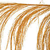 Vickerman 60-72" Aspen Gold Uva Palm Spray, 10 per Bunch. Image 1