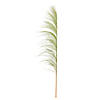 Vickerman 60-72" Basil Uva Palm Spray, 10 per Bunch. Image 1