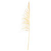 Vickerman 60-72" Bleached Uva Palm Spray, 10 per Bunch. Image 1