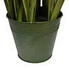 Vickerman 60" Artificial Potted Green Grass with Cattails Image 2
