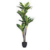 Vickerman 60" Artificial Real Touch Dracaena Image 1