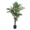 Vickerman 60" Artificial Robellini Palm Tree Image 1