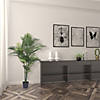Vickerman 60" Artificial Robellini Palm Tree Image 1