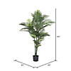 Vickerman 60" Artificial Robellini Palm Tree Image 2