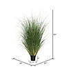 Vickerman 60" PVC Artificial Potted Green Curled Grass Image 3