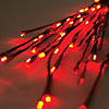 Vickerman 60 Red Wide Angle LED Twig Light Set on Brown Wire, Pack of 3 Image 1