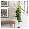 Vickerman 64" Artificial Fresh Potted Green Philodendron Image 1