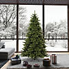 Vickerman 7.5' Camdon Fir Christmas Tree - Unlit Image 2
