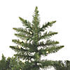 Vickerman 7.5' Camdon Fir Christmas Tree with Warm White LED Lights Image 1