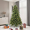 Vickerman 7.5' Cashmere Pine Christmas Tree - Unlit Image 3