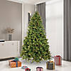 Vickerman 7.5' Cashmere Slim Christmas Tree with Clear Lights Image 3