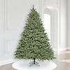 Vickerman 7.5' Colorado Spruce Artificial Christmas Tree, Clear Dura-Lit&#174; Lights Image 4