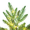 Vickerman 7.5' Compton Pole Artificial Christmas Tree, Warm White Dura-lit LED Lights Image 2