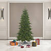 Vickerman 7.5' Durango Spruce Slim Artificial Christmas Tree, Unlit Image 3