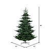 Vickerman 7.5' Hudson Fraser Fir Artificial Christmas Tree, Unlit Image 3