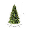 Vickerman 7.5' Jersey Fraser Fir Artificial Christmas Tree, LED Color Changing Coaxial Connect Mini Lights Image 4