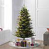 Vickerman 7.5' North Shore Fraser Fir Artificial Christmas Tree, Dura-Lit&#174; LED Warm White Mini Lights Image 1
