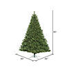 Vickerman 7.5' Oregon Fir Artificial Christmas Tree, Wide Angle Single Mold Warm White LED Lights Image 3