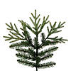 Vickerman 7.5' Tiffany Fraser Fir Artificial Christmas Tree, Unlit Image 2