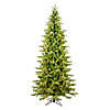 Vickerman 7.5' x 44" Balsam Spruce Slim Artificial Christmas Tree, Warm White Dura-lit LED Lights Image 1