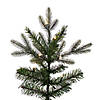 Vickerman 7.5' x 44" Douglas Fir Artificial Slim Pre-Lit Christmas Tree , Dura-Lit&#174; Warm White LED Mini Lights. Image 2