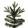 Vickerman 7.5' x 44" Douglas Fir Artificial Slim Unlit Christmas Tree. Image 1