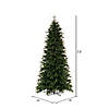 Vickerman 7.5' x 44" Douglas Fir Artificial Slim Unlit Christmas Tree. Image 2
