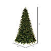 Vickerman 7.5' x 56" Douglas Fir Artificial Pre-Lit Christmas Tree, Dura-Lit&#174; Warm White LED Mini Lights. Image 3