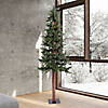 Vickerman 7' Alpine Christmas Tree - Unlit Image 2