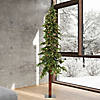 Vickerman 7' Alpine Christmas Tree with Warm White LED Lights Image 3