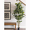 Vickerman 7' Artificial Green Potted Fiddle Tree Image 1