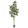 Vickerman 7' Artificial Potted Fig Tree Image 1