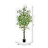 Vickerman 7' Artificial Potted Ginkgo Tree Image 2