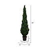 Vickerman 7' Artificial Potted Green Cedar Tree Image 2