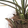Vickerman 7' Artificial Potted Pheonix Palm Tree Image 2