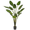 Vickerman 7' Artificial Potted Travellers Palm Tree Image 1