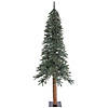 Vickerman 7' Natural Bark Alpine Christmas Tree - Unlit Image 1
