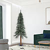 Vickerman 7' Natural Bark Alpine Christmas Tree - Unlit Image 2