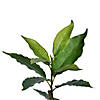 Vickerman 7' Potted Artificial Green Nandina Tree Image 2