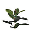 Vickerman 7' Potted Artificial Green Rubber Tree Image 2