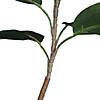 Vickerman 7' Potted Artificial Green Rubber Tree Image 3